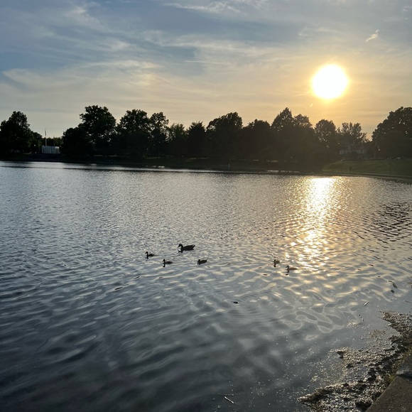 Meet your Posher, Mariah - Picture 1 of 1